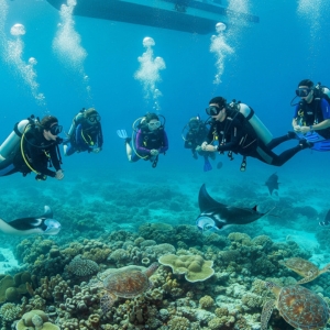 Diving Safety