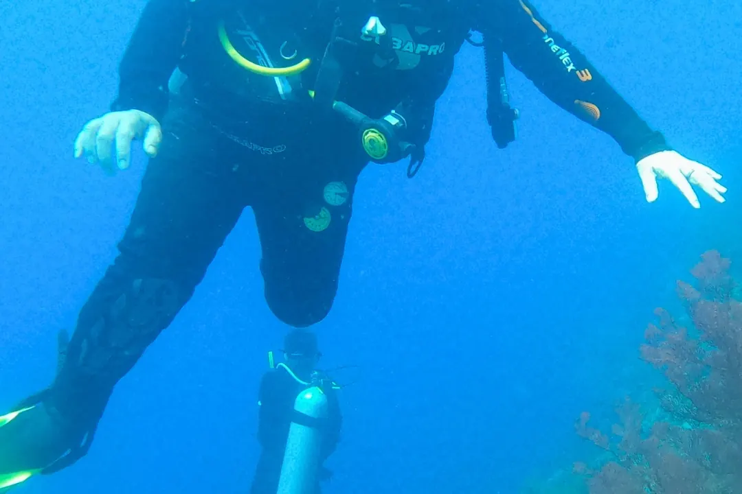Diver beside a coral wall at Menjangan Island, West Bali National Park