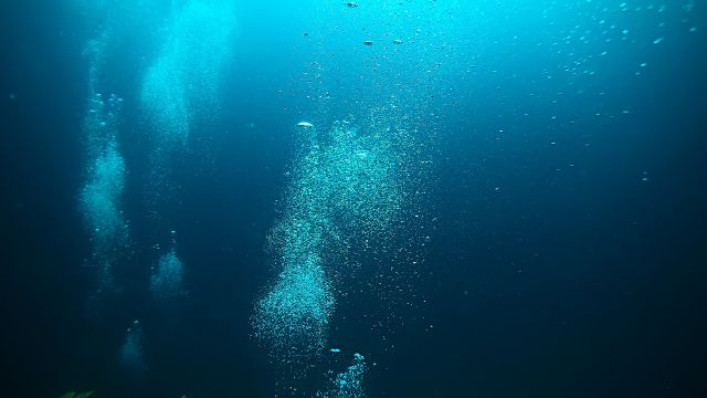 Diving Bali underwater