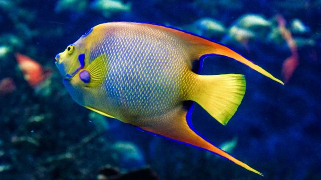 Bali Diving Pricelist & Packages