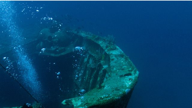 PADI Courses & Certifications