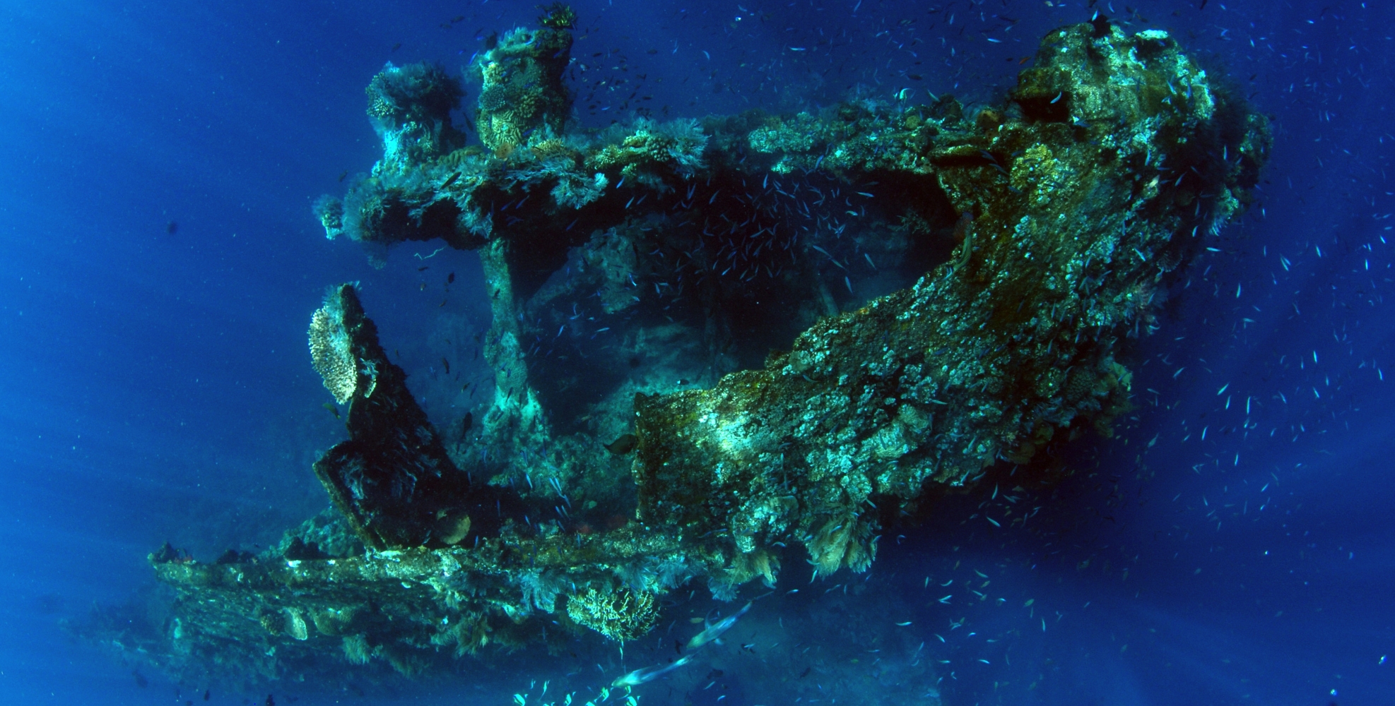 Diving Tulamben & USAT Liberty, Bali